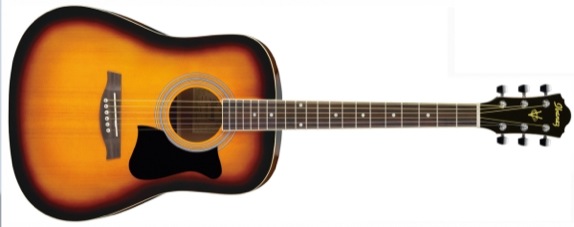 Ibanez V50NJP-VS